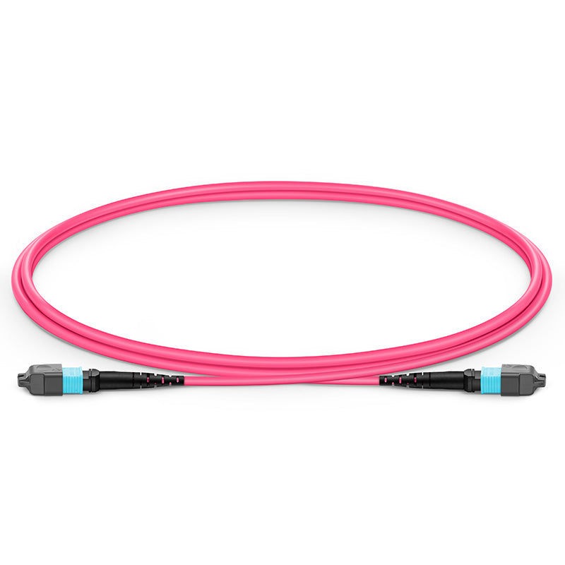 MTP-12 Female 12 Fibers LSZH OM4 50/125 Multimode Elite Trunk Cable, Magenta