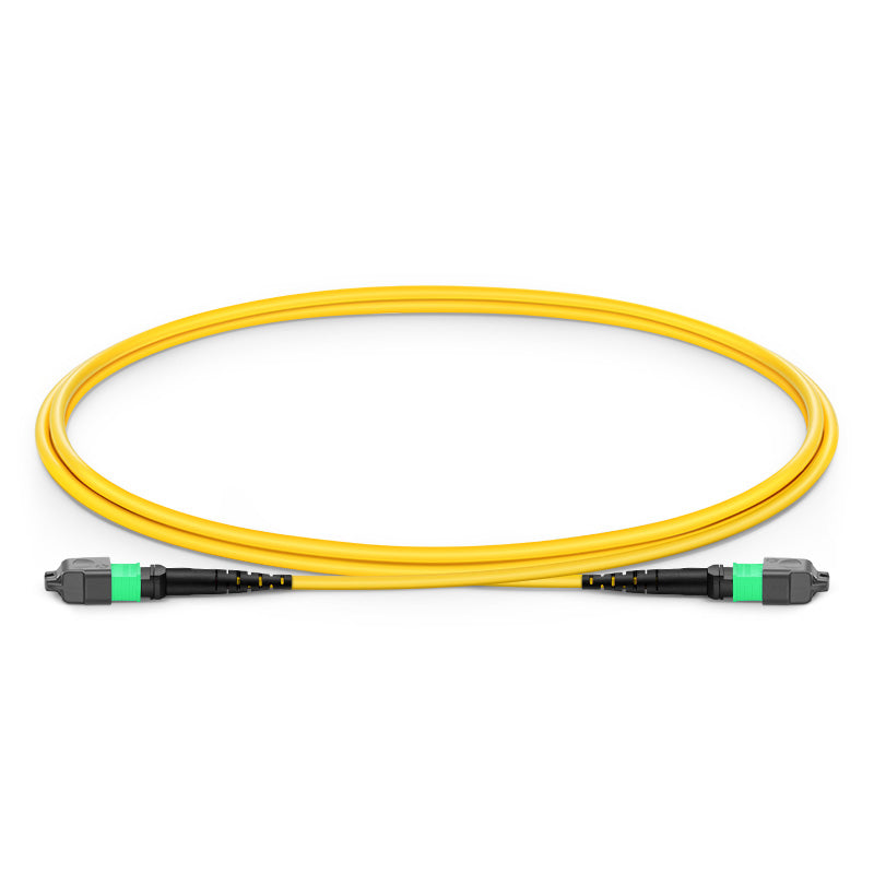 MTP-16 APC Female 16 Fibers Trunk Cable, OFNP/LSZH Single Mode (OS2) Patch Cable