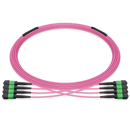 Pre-terminated MPO 4x4 Shuffle Breakout Cable, 32 Fibers, 4 x MPO-8 APC (Male) to 4 x MPO-8 APC (Male), Multimode (OM4), Type 4, LSZH/OFNP, 0.35dB Max, Breakout 80cm, Magenta