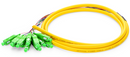 SC/UPC or SC/APC 12 Fibers OS2 Single Mode Bunch PVC (OFNR) 0.9mm Fiber Optic Pigtail