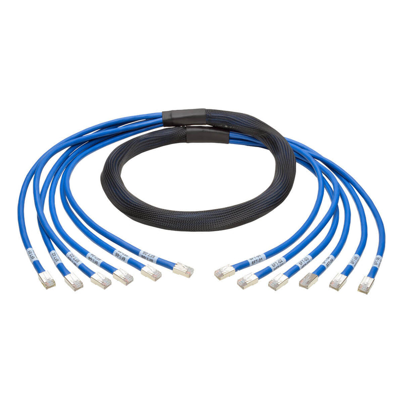 6 Plug to 6 Plug Cat5e Unshielded (UTP) PVC CMR Pre-Terminated Copper Trunk Cable